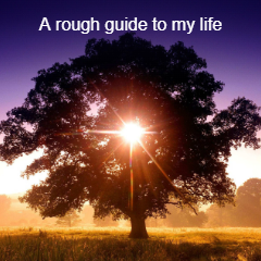 A Rough Guide to My Life
